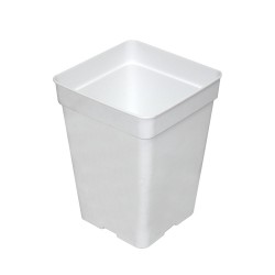 Maceta 15 x 15 x 19,5 (3,5L) Blanca