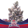 Red Critical Auto