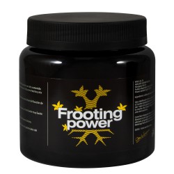 Frooting Power 325 g