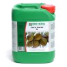 Coco Forte A 5L