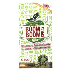 Boom Boom Spray 5ml
