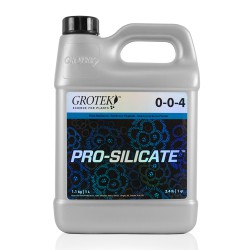 Pro Silicate 1L