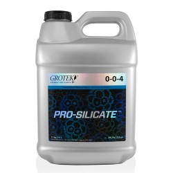 Pro Silicate 10L