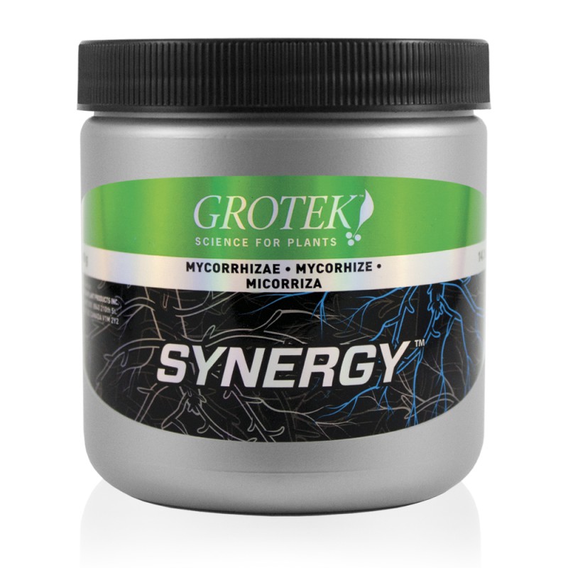 Synergy 400g