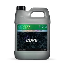 Core 1L