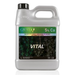 Vital 1L