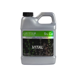 Vital 500ml