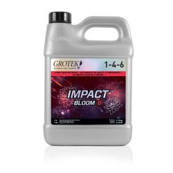 Impact Bloom B 4L