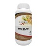 Epic Blast Coco 500ml