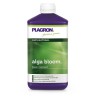 Alga Bloom 1L