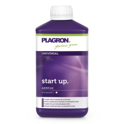 Start Up 500ml