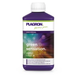 Green Sensation 500ml