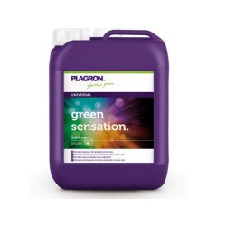 Green Sensation 10L