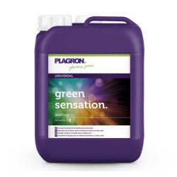 Green Sensation 5L