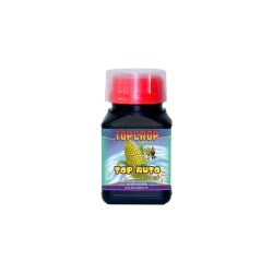 Top Auto 250ml