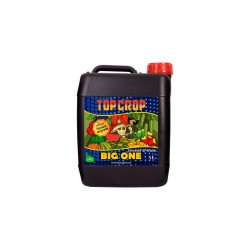 Big One 5L