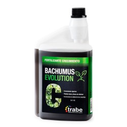 Bachumus Evolution crecimiento 1L