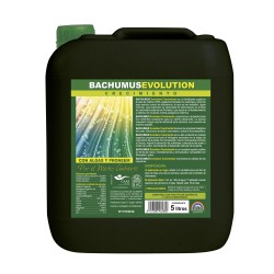 Bachumus Evolution...