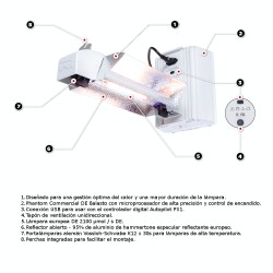 Phantom Double Ended 1000W Abierto