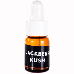 Terpenos Blackberry Kush 1ml