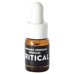 Terpenos Critical 1ml