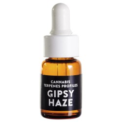 Terpenos Gipsy Haze 1ml