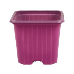 Maceta 7 x 7 x 6 (0,20 L)...