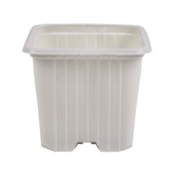 Maceta 7 x 7 x 6 (0,20 L) Serie F