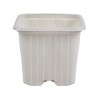 Maceta 7 x 7 x 6 (0,20 L) Serie F
