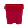 Maceta 7 x 7 x 6 (0,20 L) Serie F