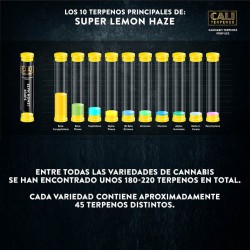 Terpenos Super lemon haze 10ml