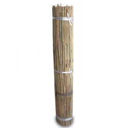 Tutor de Bambú 1m fardo 250uds
