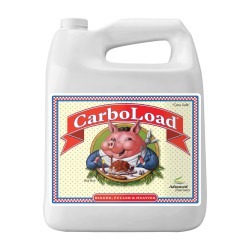 CarboLoad Liquid 5L
