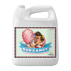 Bud Candy 5L