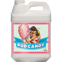 Bud Candy 20L