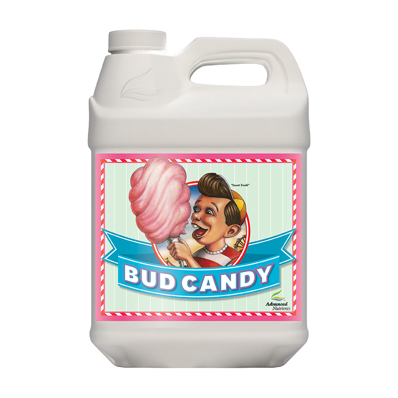 Bud Candy 20L