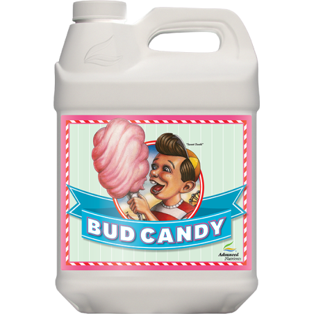 Bud Candy 20L