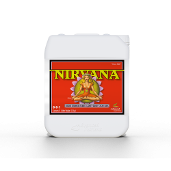 Nirvana 5L