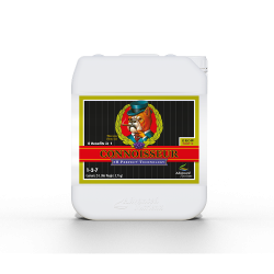 PH Perfect Connoisseur Grow B 5 L