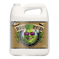 Big Bud Coco Liquid 5L