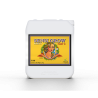Sensi Grow 5L B