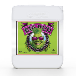 Big Bud Liquid 20L