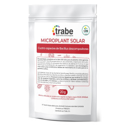 Microplant Solar 20g