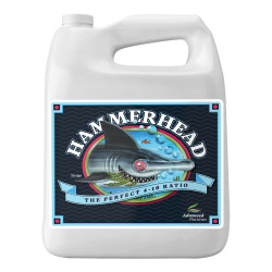 HammerHead 5L