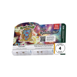 Terp Explosion Mix