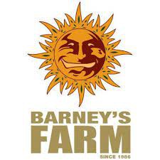 Barneys Farm