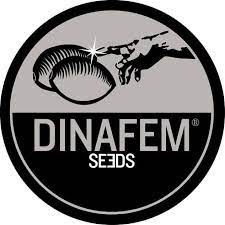 Dinafem