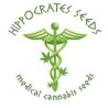 Hippocrates seeds